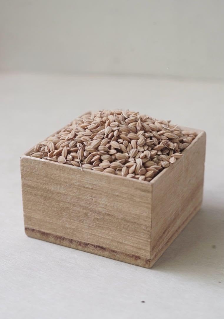 鳳凰 磬風 青銅製 文鎮 木箱入り 工芸品